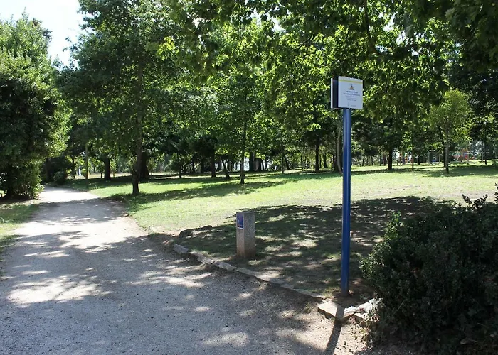 Piso En Primera Linea Appartement